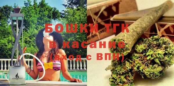 ешки Инта
