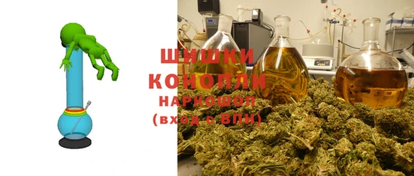метадон Лагань