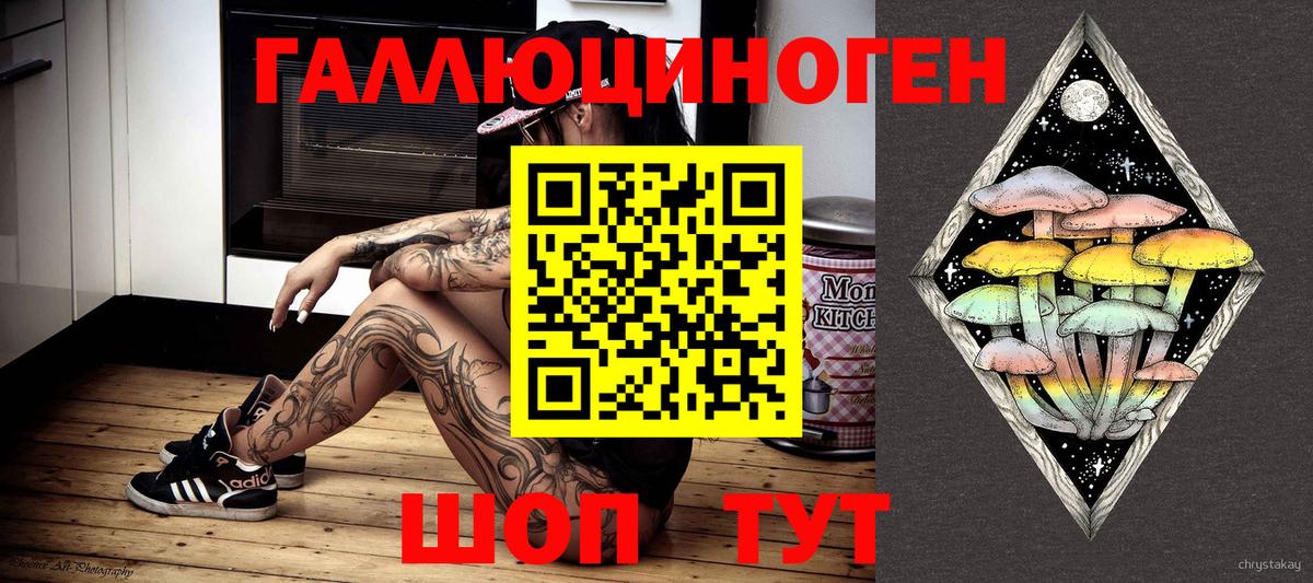Ефремов  Галлюциногенные грибы мухоморы  Вход с VPN 